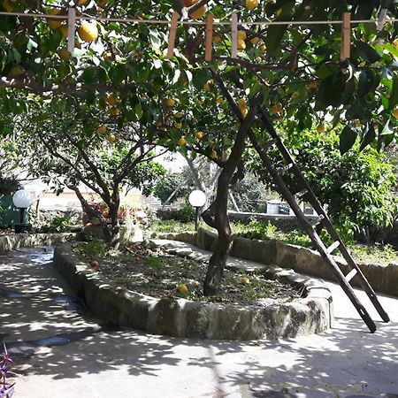 Holiday Apartments Lacco Ameno  Zewnętrze zdjęcie