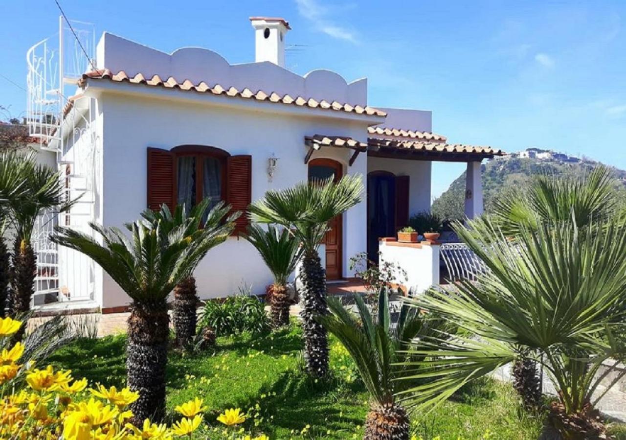 Holiday Apartments Lacco Ameno  Pokój zdjęcie