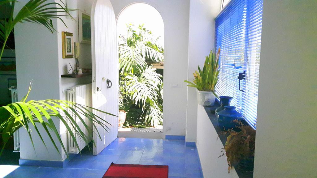 Holiday Apartments Lacco Ameno  Zewnętrze zdjęcie