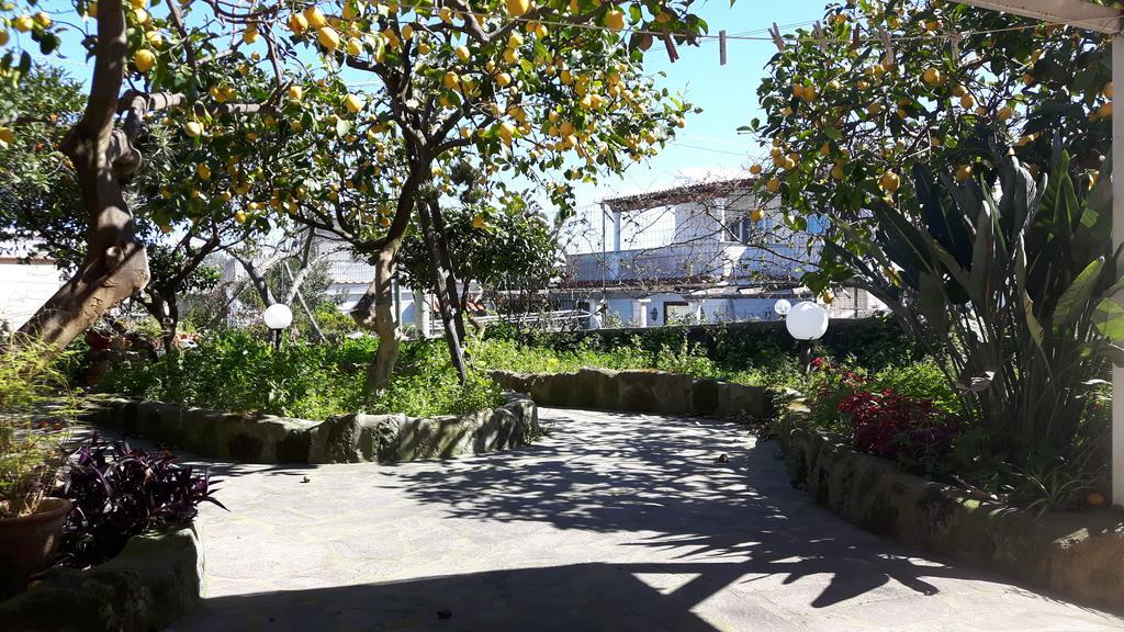 Holiday Apartments Lacco Ameno  Zewnętrze zdjęcie