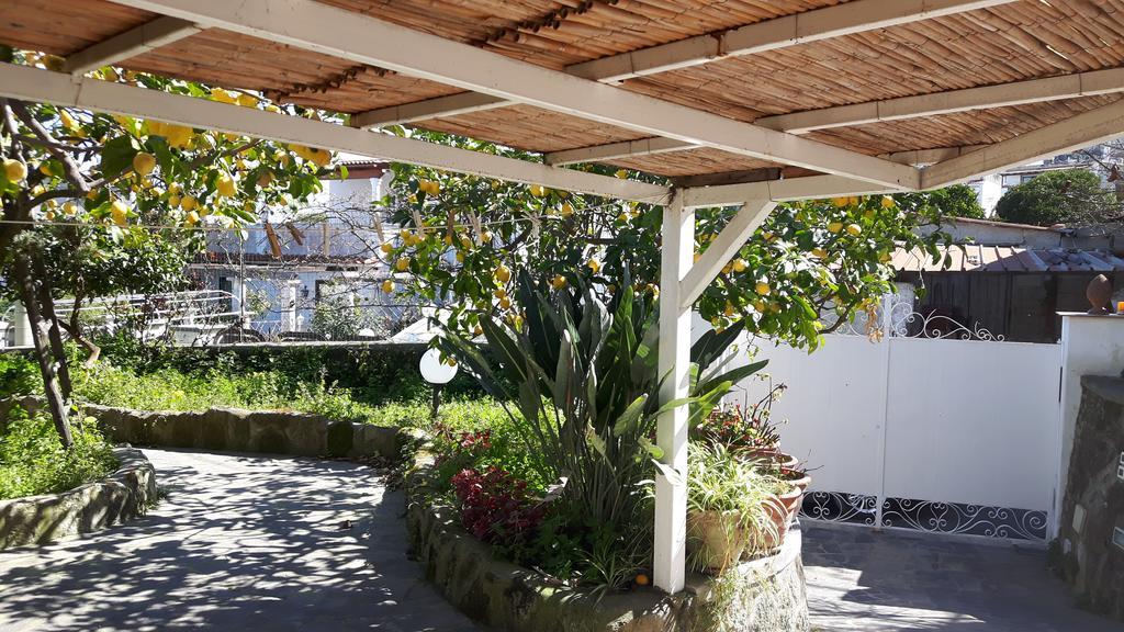 Holiday Apartments Lacco Ameno  Zewnętrze zdjęcie